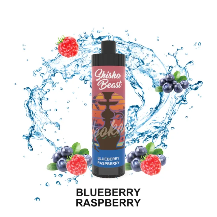 R&M Shisha Beast 20000 Puffs Disposable Vape; Blueberry Raspberry; UAE VAPE GALLERY;