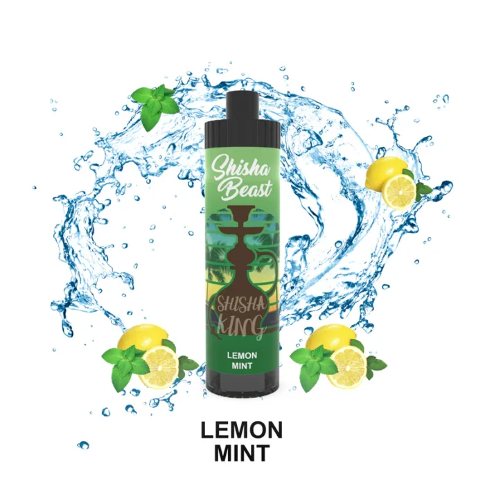 R&M Shisha Beast 20000 Puffs Disposable Vape; Lemon Mint; UAE VAPE GALLERY;
