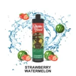 R&M Shisha Beast 20000 Puffs Disposable Vape; Strawberry Watermelon; UAE VAPE GALLERY;